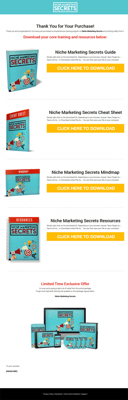 Niche Marketing Secrets Ebook and Videos MRR Package