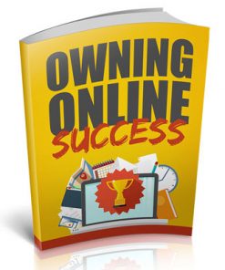 Owning Online Success Ebook with Master Resale Rights