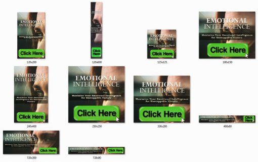 Emotional Intelligence Ebook and Videos MRR