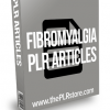 Fibromyalgia PLR Articles