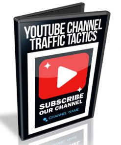 Youtube Channel Traffic Tactics PLR Videos