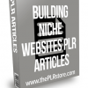 Building Niche Website PLR Articles