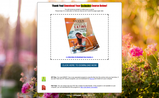 Mindful Eating PLR List Building Report