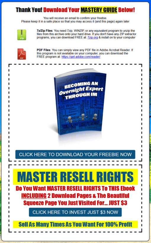 Becoming An Overnight IM Expert Ebook MRR