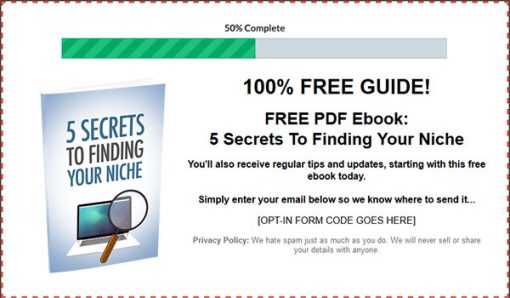 Find Your Niche Ebook and Videos MRR