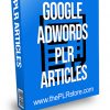 Google Adwords PLR Articles