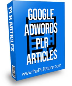 Google Adwords PLR Articles