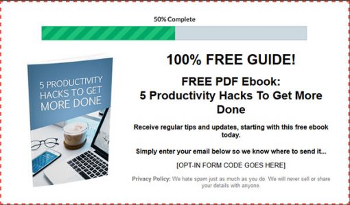 Productivity for Procrastinators Ebook and Videos MRR