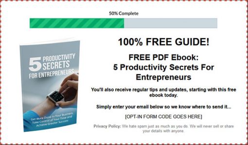 Time Management Entrepreneurs Ebook and Videos MRR