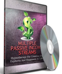 Multiple Passive Income Streams MRR Audio
