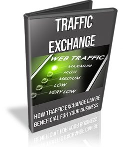 Traffic Exchanges PLR Videos