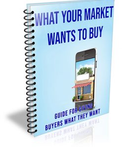 What Your Market Wants to Buy PLR Audio