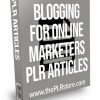 Blogging for Online Marketers PLR Articles