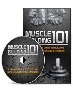 Muscle Building 101 Ebook and Videos MRR