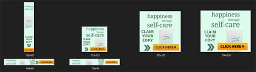 Happiness Through Self Care Ebook and Videos MRR
