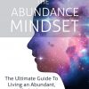 Abundance Mindset Ebook and Videos MRR