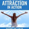 Law of Attraction in Action Ebook and Videos MRR