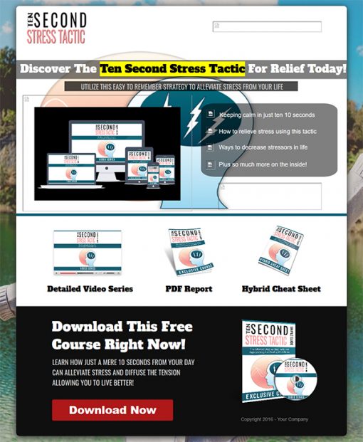 Ten Second Stress Tactic Lead Generation Package MRR
