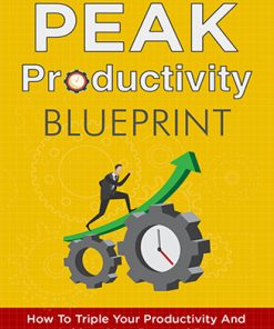 Peak Productivity Ebook and Videos MRR