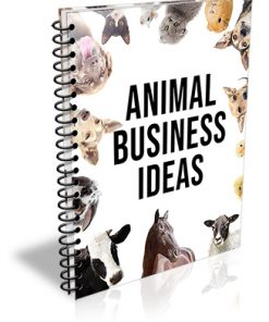 Animal Business Ideas PLR Report