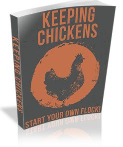 Keeping Chickens PLR Ebook