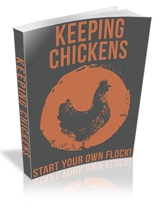 Keeping Chickens PLR Ebook