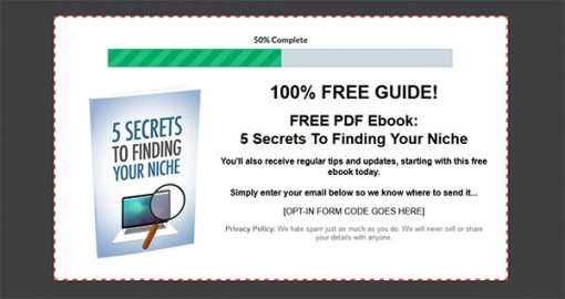 Secrets to Finding Your Niche Report MRR