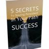 5 Secrets to Staying Persistent Report MRR