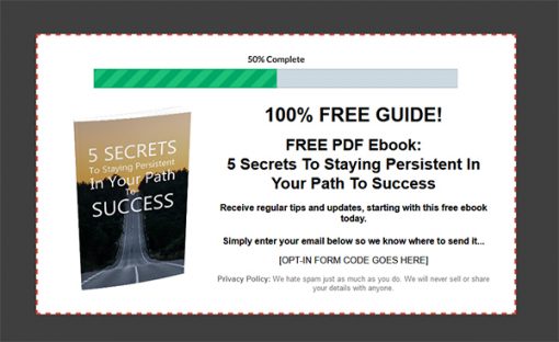5 Secrets to Staying Persistent Report MRR