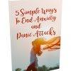 5 Simple Ways to End Anxiety Report MRR