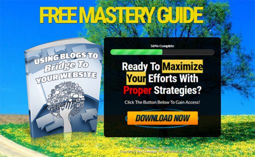 Use Blogs to Bridge to Your Website Ebook MRR