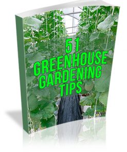 Greenhouse Growing Tips Report MRR