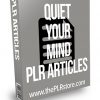 Quiet Your Mind PLR Articles