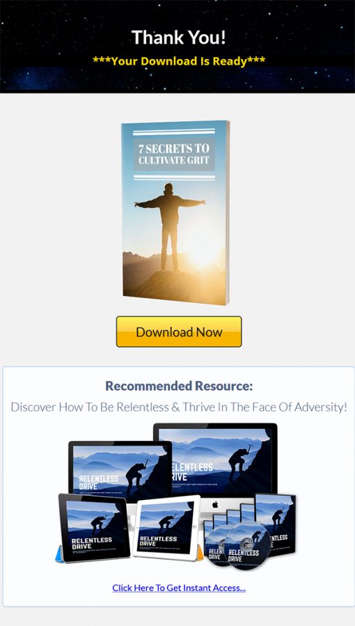 Relentless Drive Ebook and Videos MRR