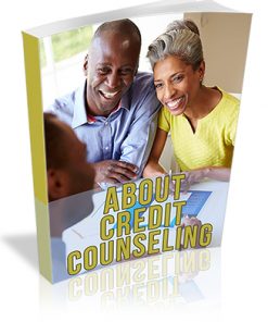 About Credit Counseling PLR Report