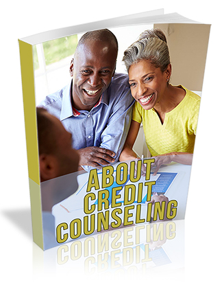 About Credit Counseling PLR Report