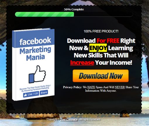 Facebook Marketing Mania Ebook MRR