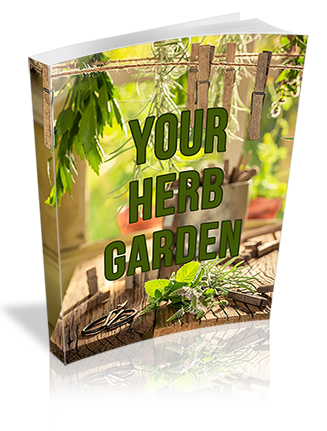 Your Herb Garden PLR Report
