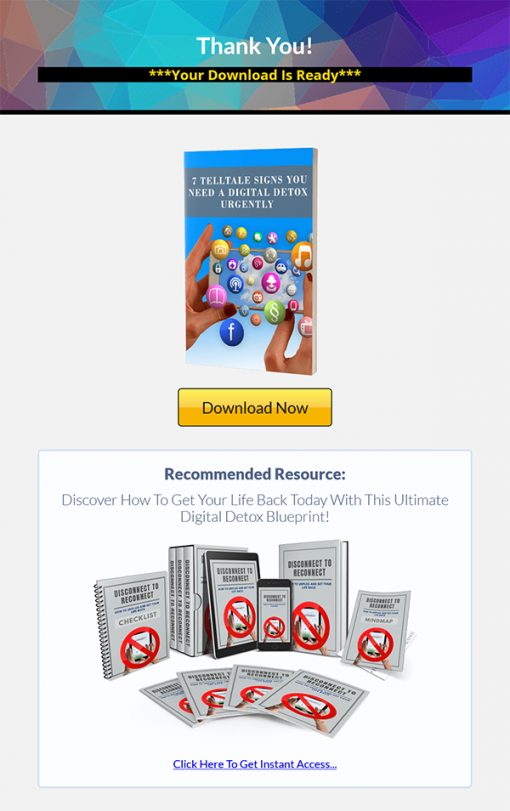 Disconnect to Reconnect Ebook and Videos MRR