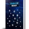 Website Traffic Beast PLR Ebook