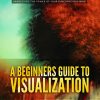 Beginner's Guide to Visualization Ebook and Videos MRR