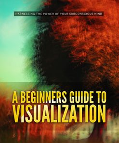 Beginner's Guide to Visualization Ebook and Videos MRR