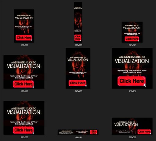 Beginner's Guide to Visualization Ebook and Videos MRR