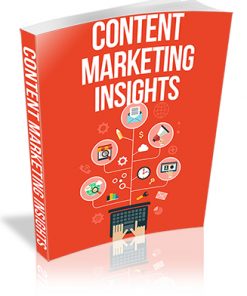 Content Marketing Insights PLR Report