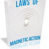 Laws of Magnetic Action PLR Report