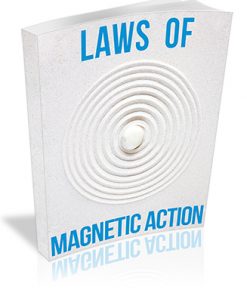 Laws of Magnetic Action PLR Report