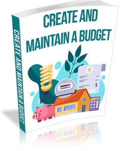 Create and Maintain a Budget PLR Report