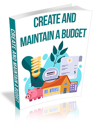 Create and Maintain a Budget PLR Report