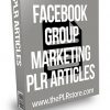 Facebook Group Marketing PLR Articles