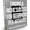 Finding a Niche Success for Beginners PLR Articles